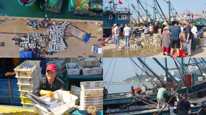 忙碌的渔码头，开海，抢购海鲜