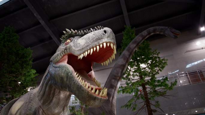 地质博物馆中的恐龙