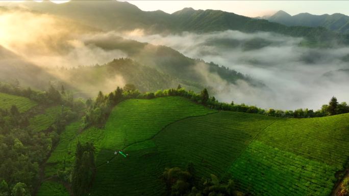 皖南 山峰 茶园 日出 云海