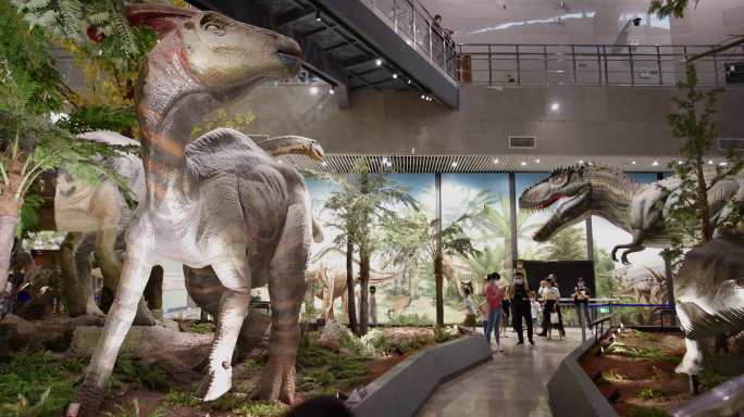 地质博物馆恐龙展