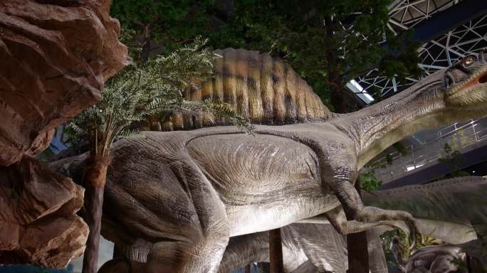湖南地质博物馆恐龙