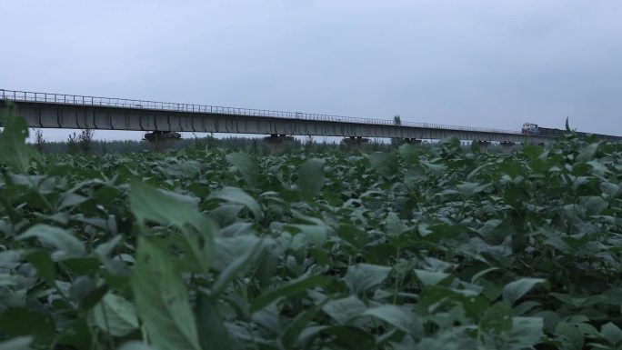 煤炭运输火车穿梭行驶