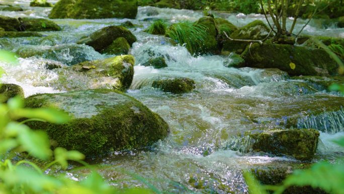 4k清澈小溪山泉水河流流淌大自然