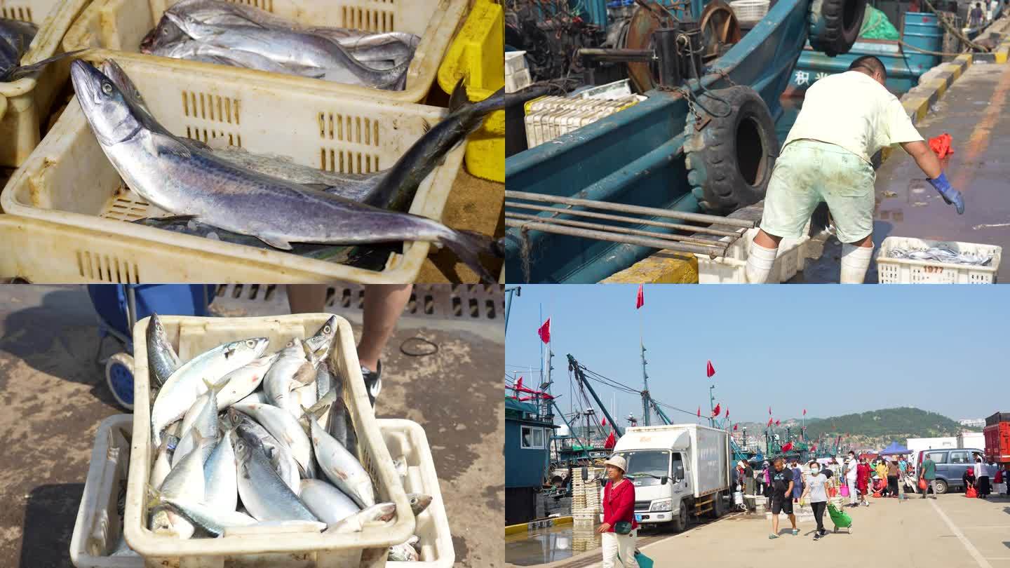 开海的渔码头，渔民卸货海鲜