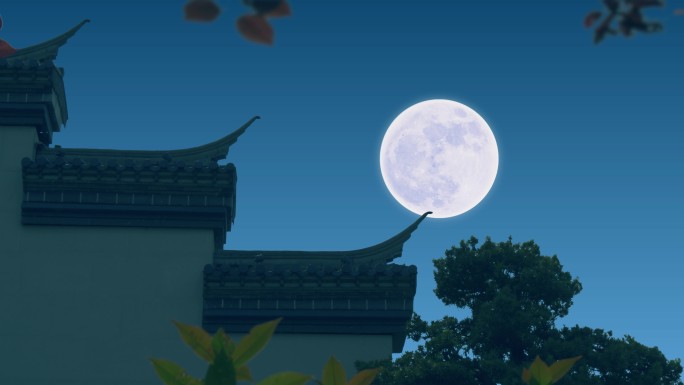 【原创拍摄可商用】月圆中秋节气 花好月圆