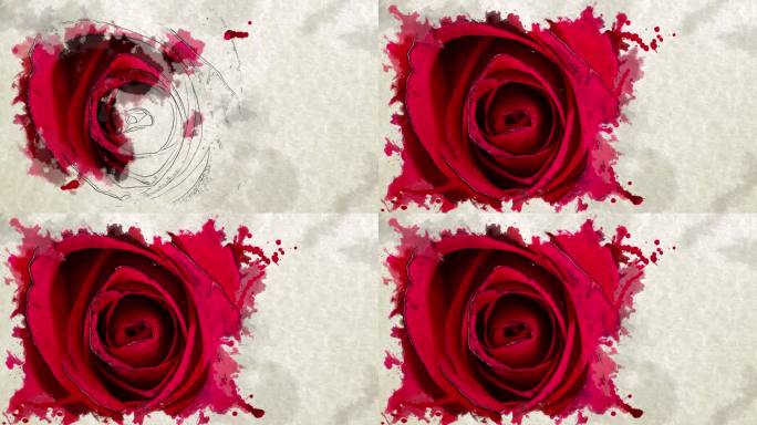 绽放的红玫瑰与水彩画艺术效果