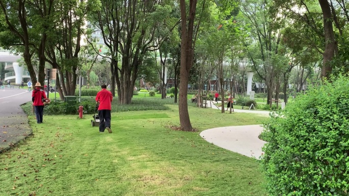 城市公园绿化草坪剪草机割草机环卫工 人