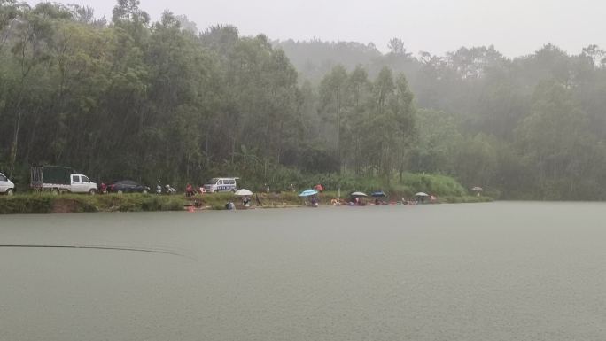 山塘下雨狂风暴雨鱼塘下雨大雨山塘水森林