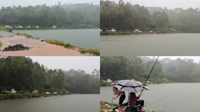 山塘下雨狂风暴雨鱼塘下雨大雨山塘水森林