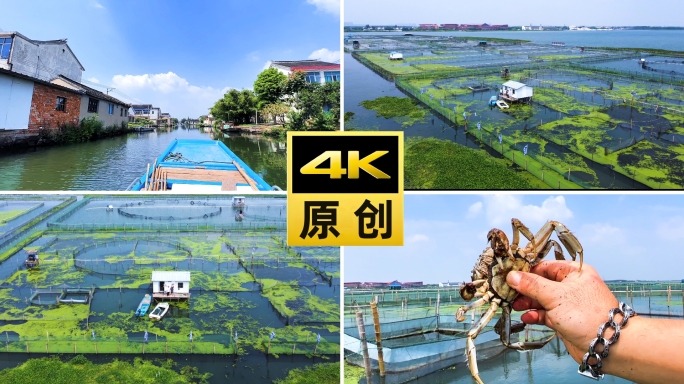 苏州阳澄湖养殖基地