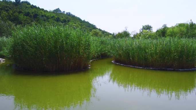 文景山生态湿地公园
