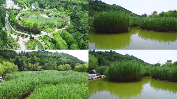 文景山生态湿地公园