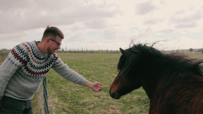 在冰岛的公路旅行中，一名男子旅行者正在抚摸一匹可爱的马