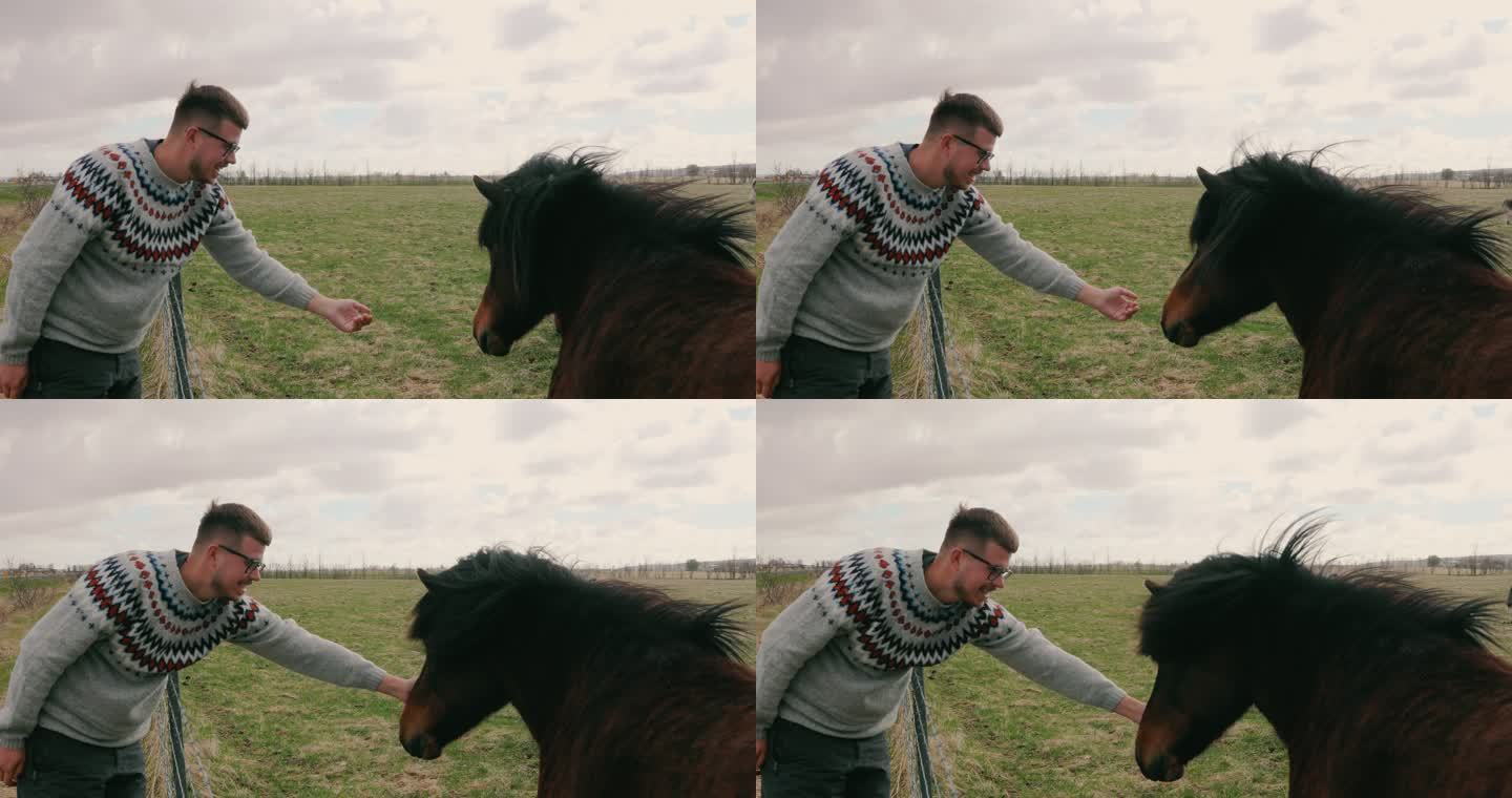 在冰岛的公路旅行中，一名男子旅行者正在抚摸一匹可爱的马