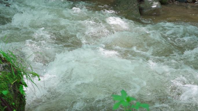 4k清澈小溪山泉水河流流淌大自然