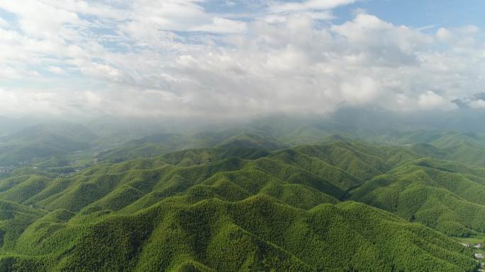 安吉大竹海青山白云延时