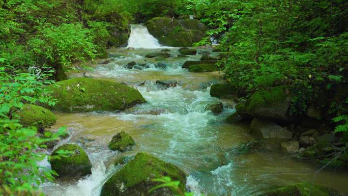 4k清澈小溪山泉水河流流淌大自然