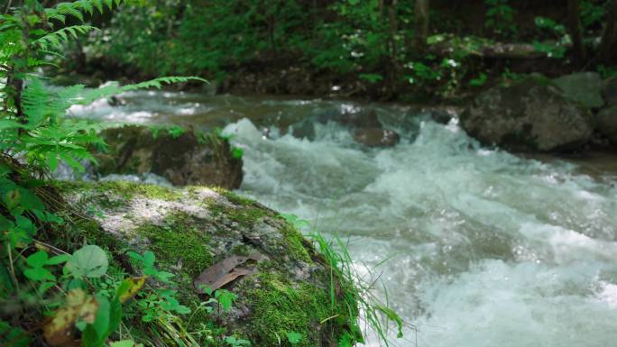 4k清澈小溪山泉水河流流淌大自然