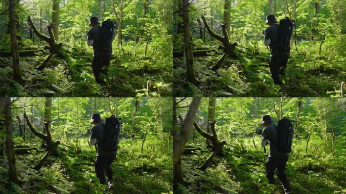 4k摄影师拍摄大自然