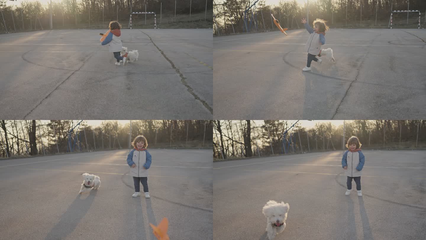 高加索学步男孩玩飞机玩具和他的狗