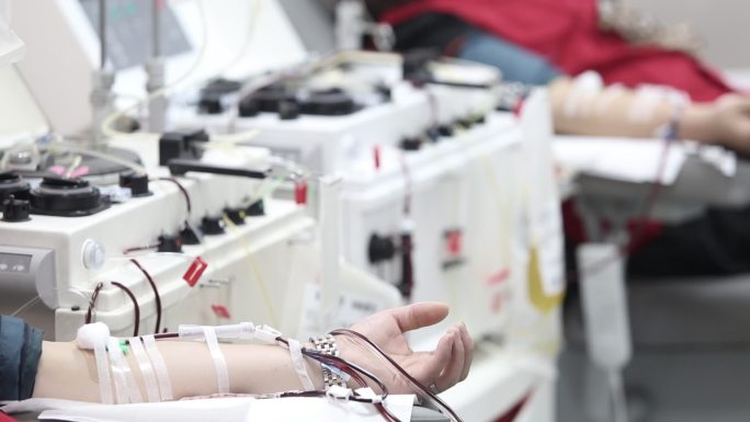 献血志愿者捐献造血干细胞病人手血管透析