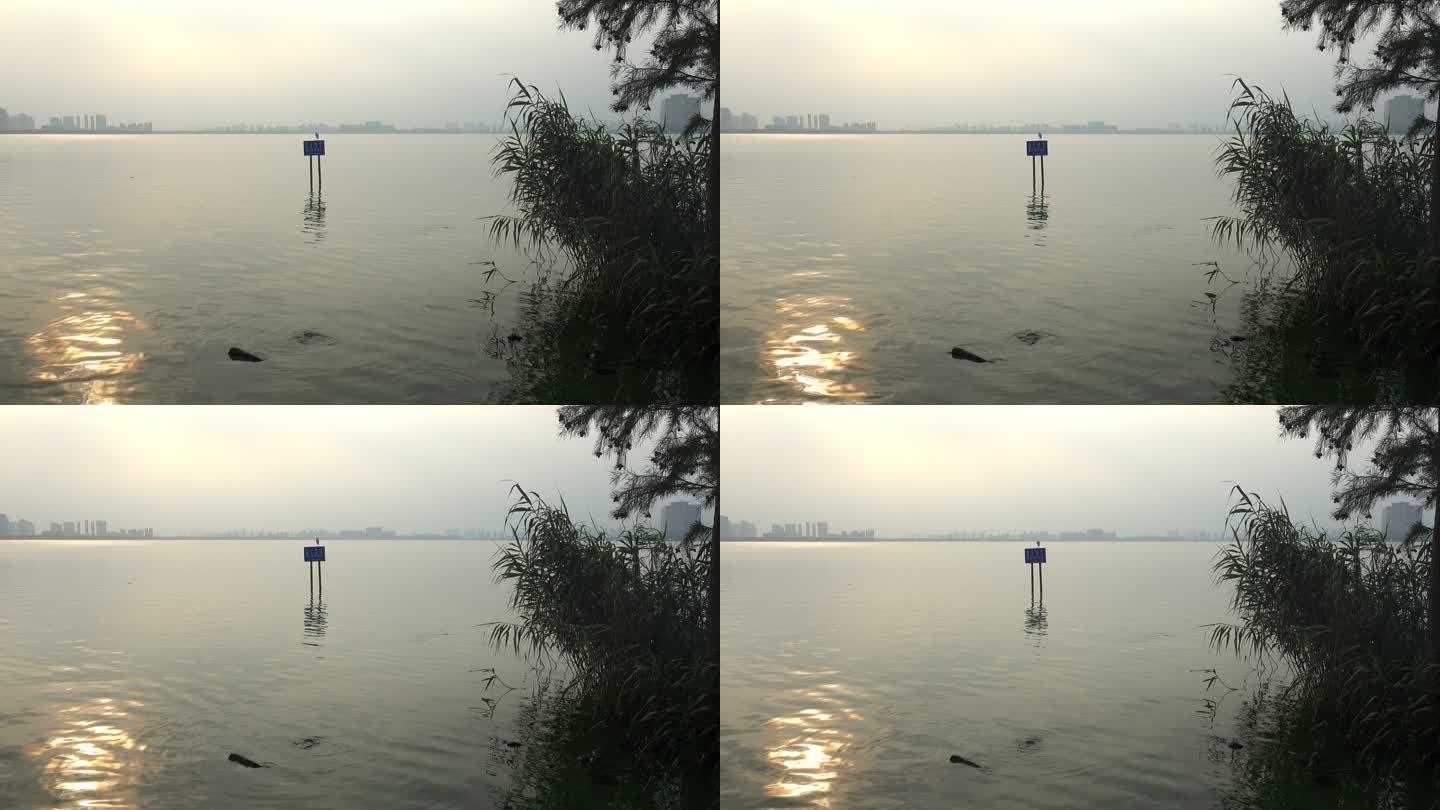 苏州独墅湖，在湖中警示牌上休息的白鹭