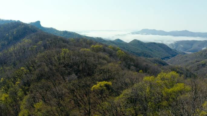 山水中国 云海 山峦