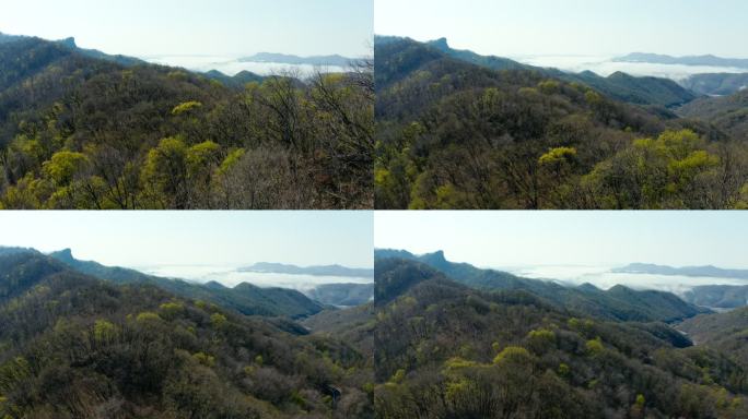 山水中国 云海 山峦