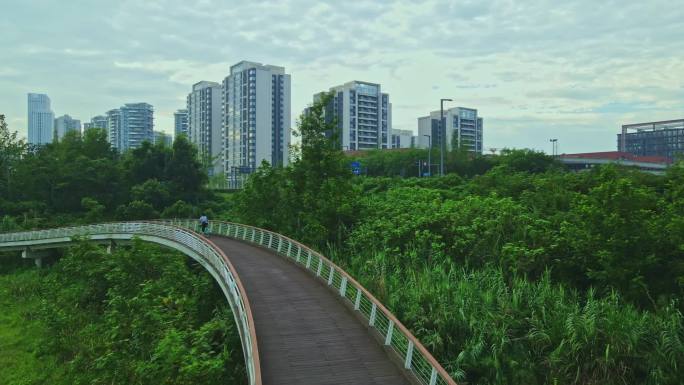 公园城市 成都绿道 鹿溪河绿道