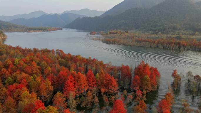 安徽皖南川藏线红衫林风景航拍