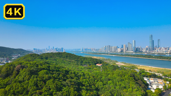 城市宜居环境城市开发区绿化楼盘宜居环境