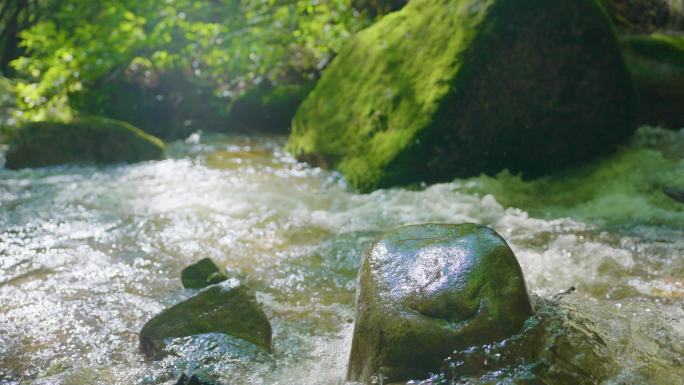 4k清澈小溪山泉水河流流淌大自然