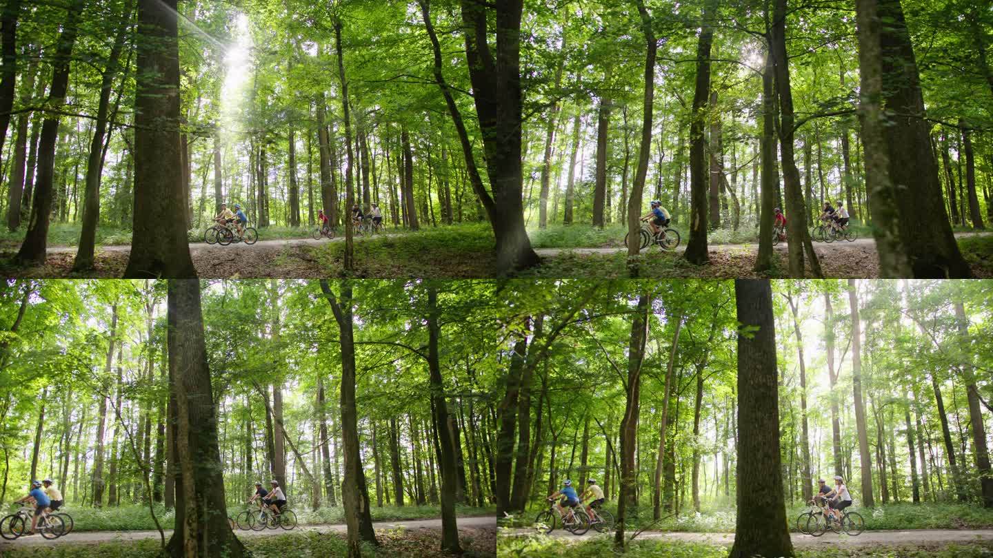 斯洛·莫一家带着三个孩子在穿过森林的路上骑自行车