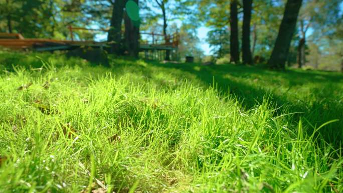 4k草地绿色环保绿化安静逆光透光阳光照射