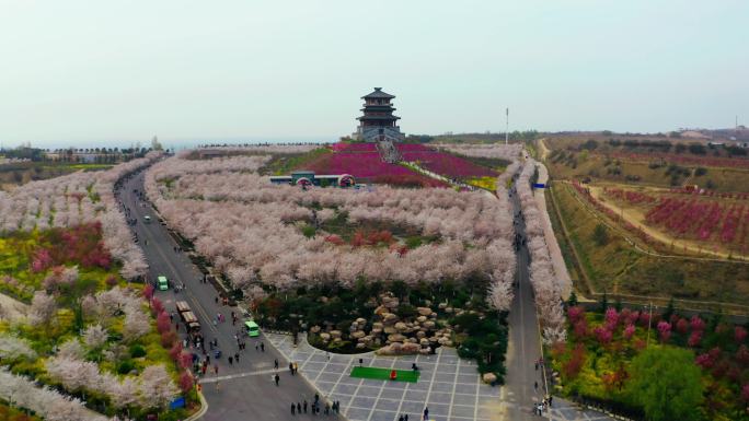 航拍郑州丰乐樱花园