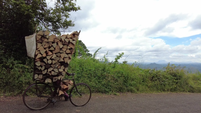 用自行车推下山口运送木柴