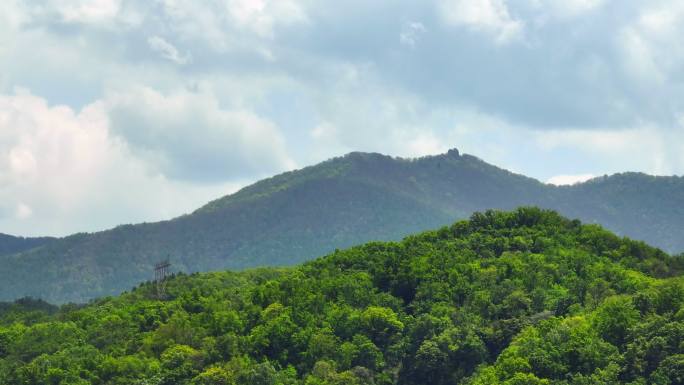 山水中国 林业 山峦 森林