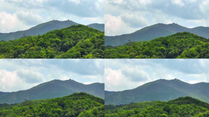 山水中国 林业 山峦 森林