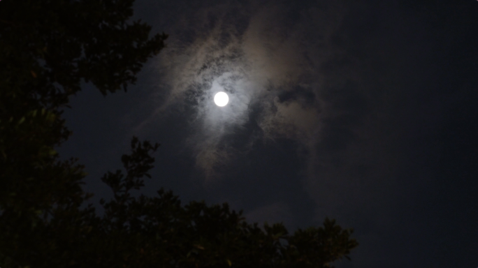 十五的月亮 月圆之夜抬头望明月 风吹云动