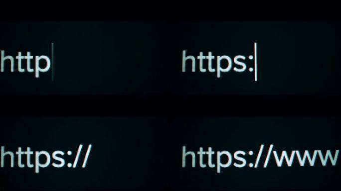 LCD监视器上的特写视图。用户正在broswer中输入网站地址。Https协议、安全和隐私概念。