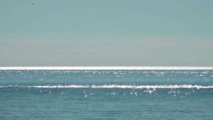 阳光照耀下的大海海鸥从海面飞过