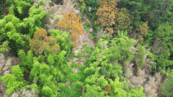 重庆缙云山恢复开放，观光索道重新启动。