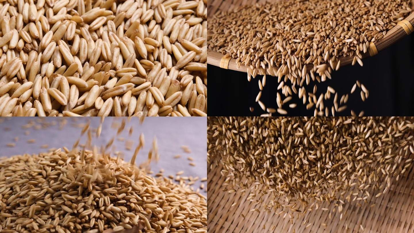 燕麦升格慢动作  酿酒素材