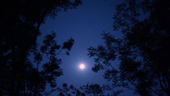 月亮 月空 傍晚月色