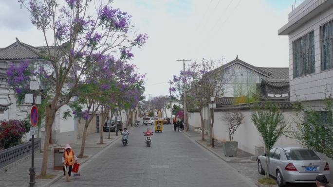 喜洲古镇蓝楹花街景