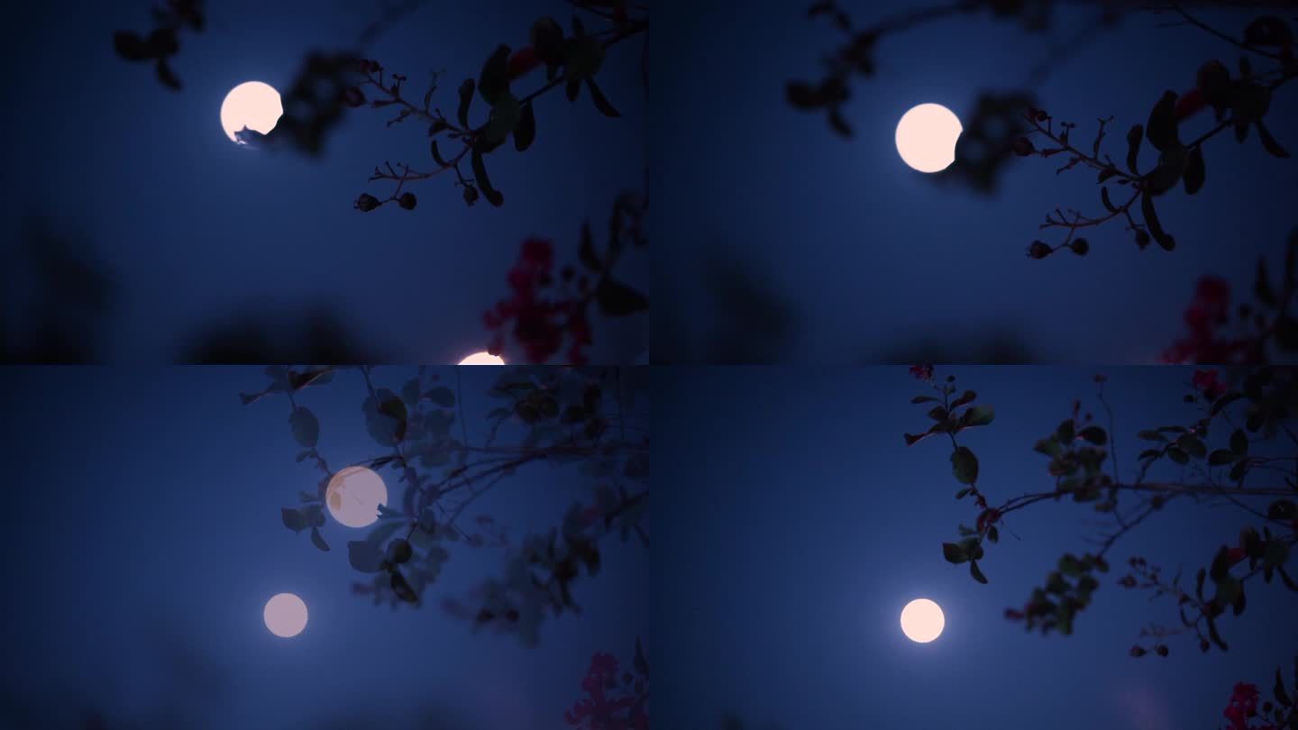 月亮 月空 傍晚月色