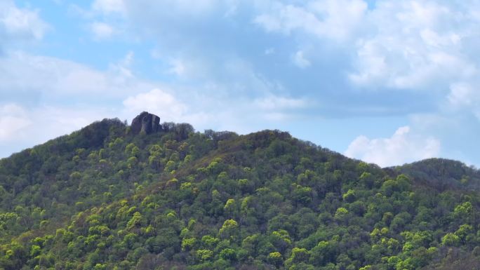 山水中国 林业 山峦