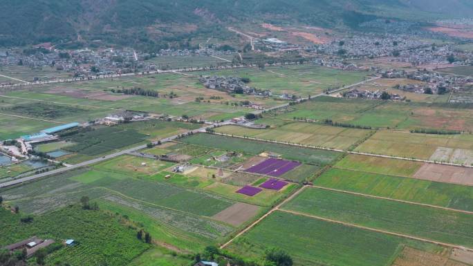 洱海边乡镇田园