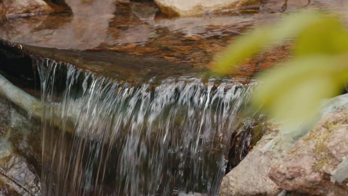苏子河源头 生态保护 水源