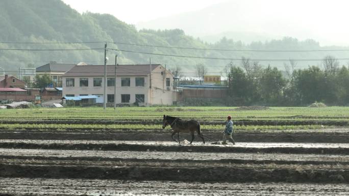 春耕 稻田 播种 山水中国